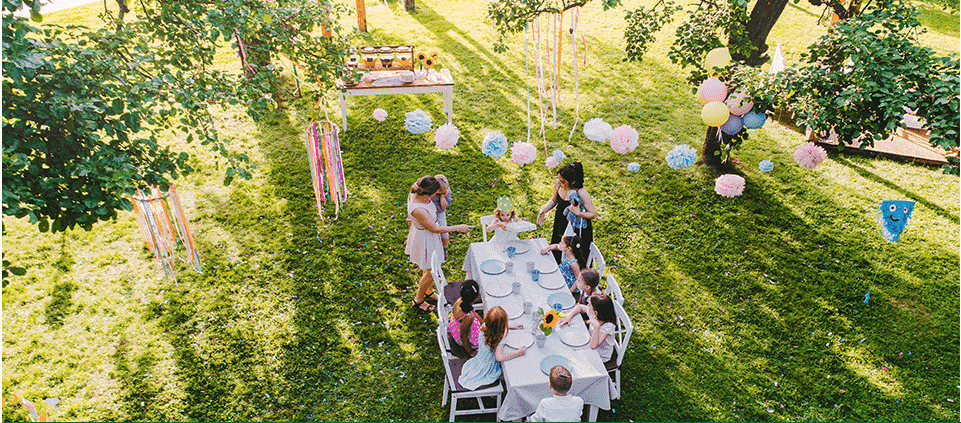 Mosquito Control Services Mosquito Hero Mosquito Control Services Mosquito Hero