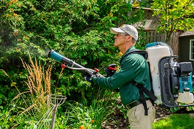 Mosquito Hero mosquito control treatments