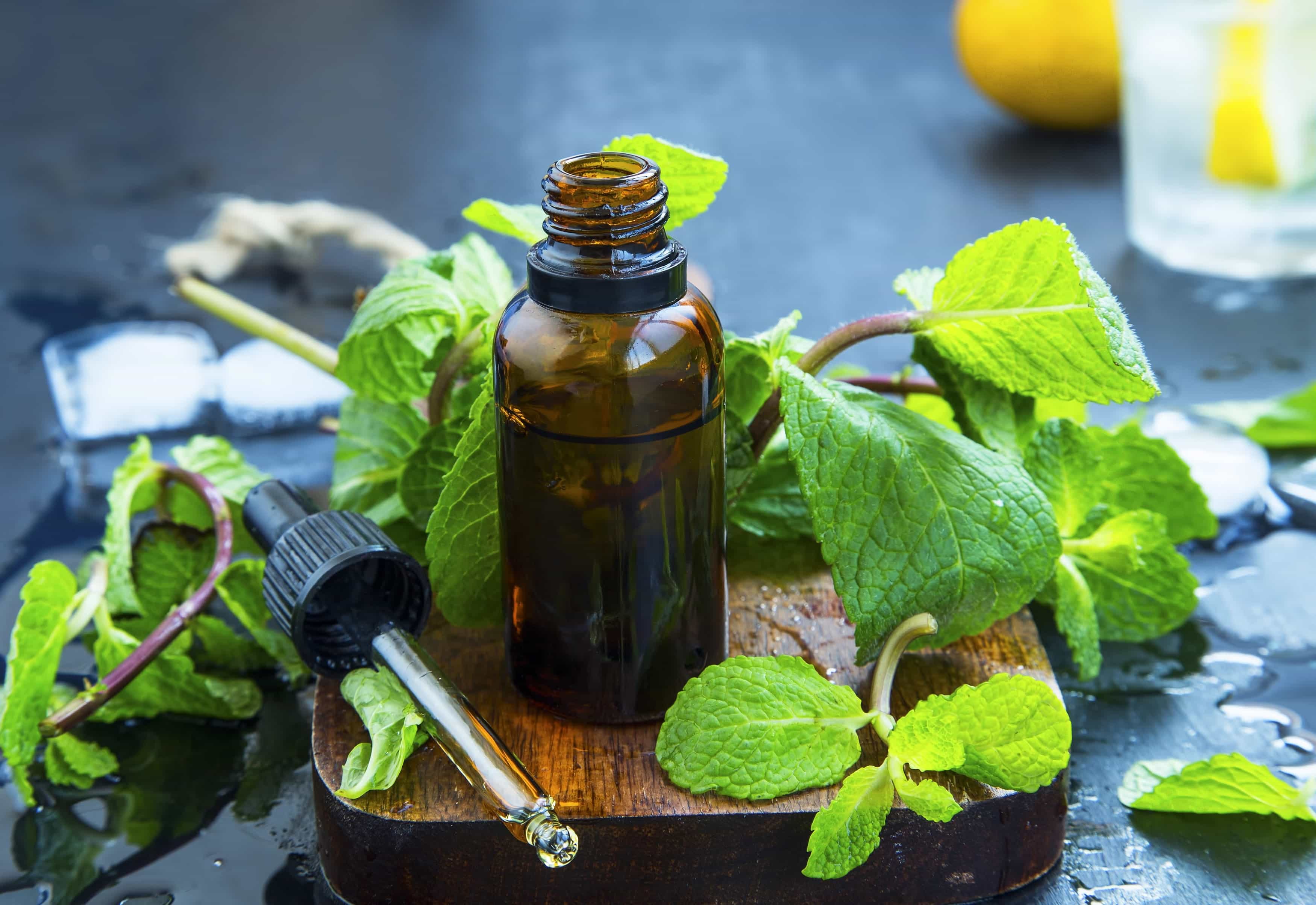 Peppermint Essential Oil