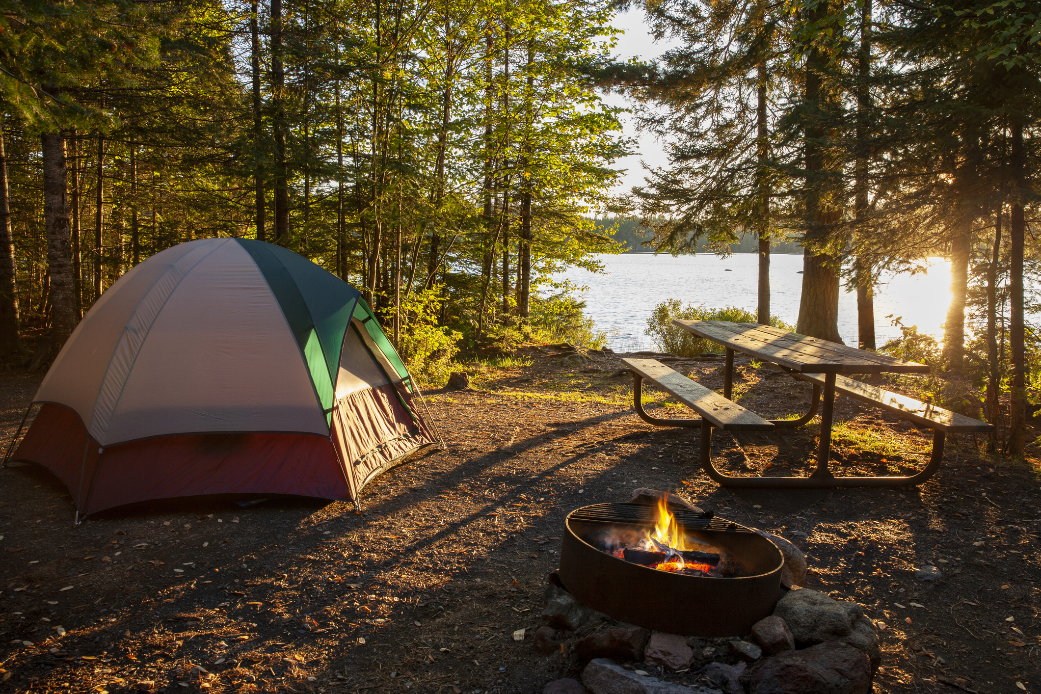 Camping in the woods